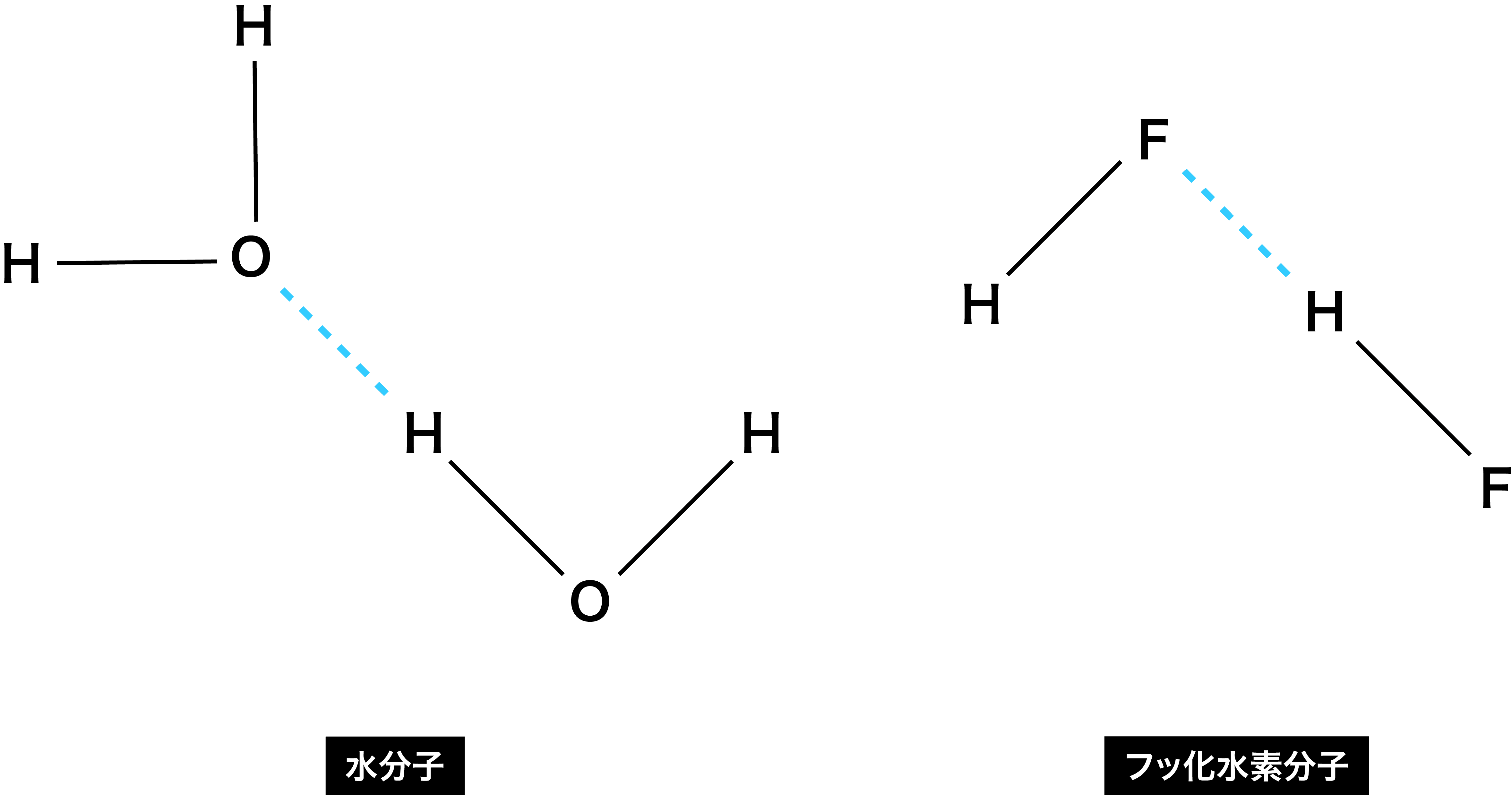 フッ 化 水素 分子 の 形