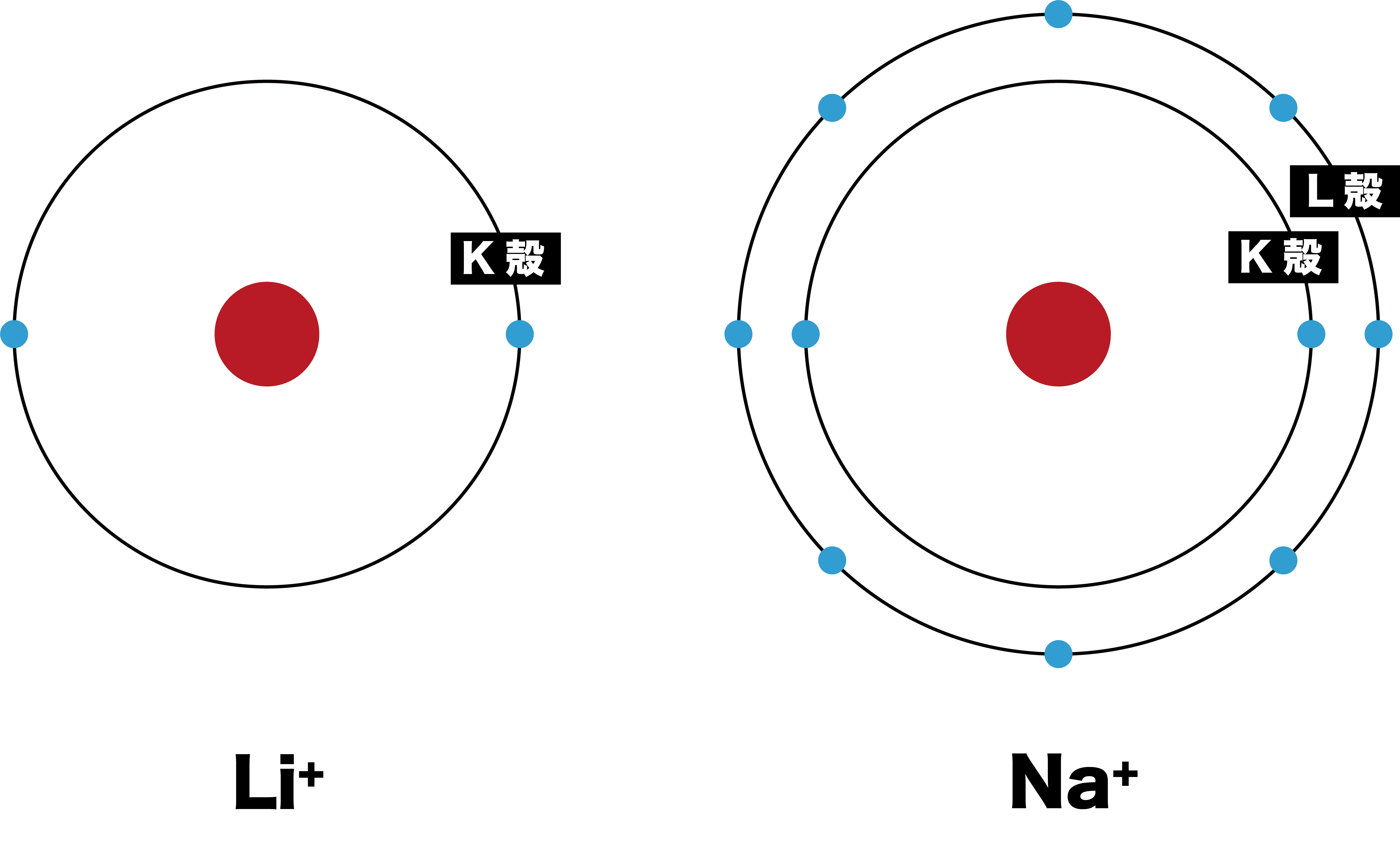 イオンの大きさ 原子の場合と異なる理由と周期表での傾向 化学のグルメ