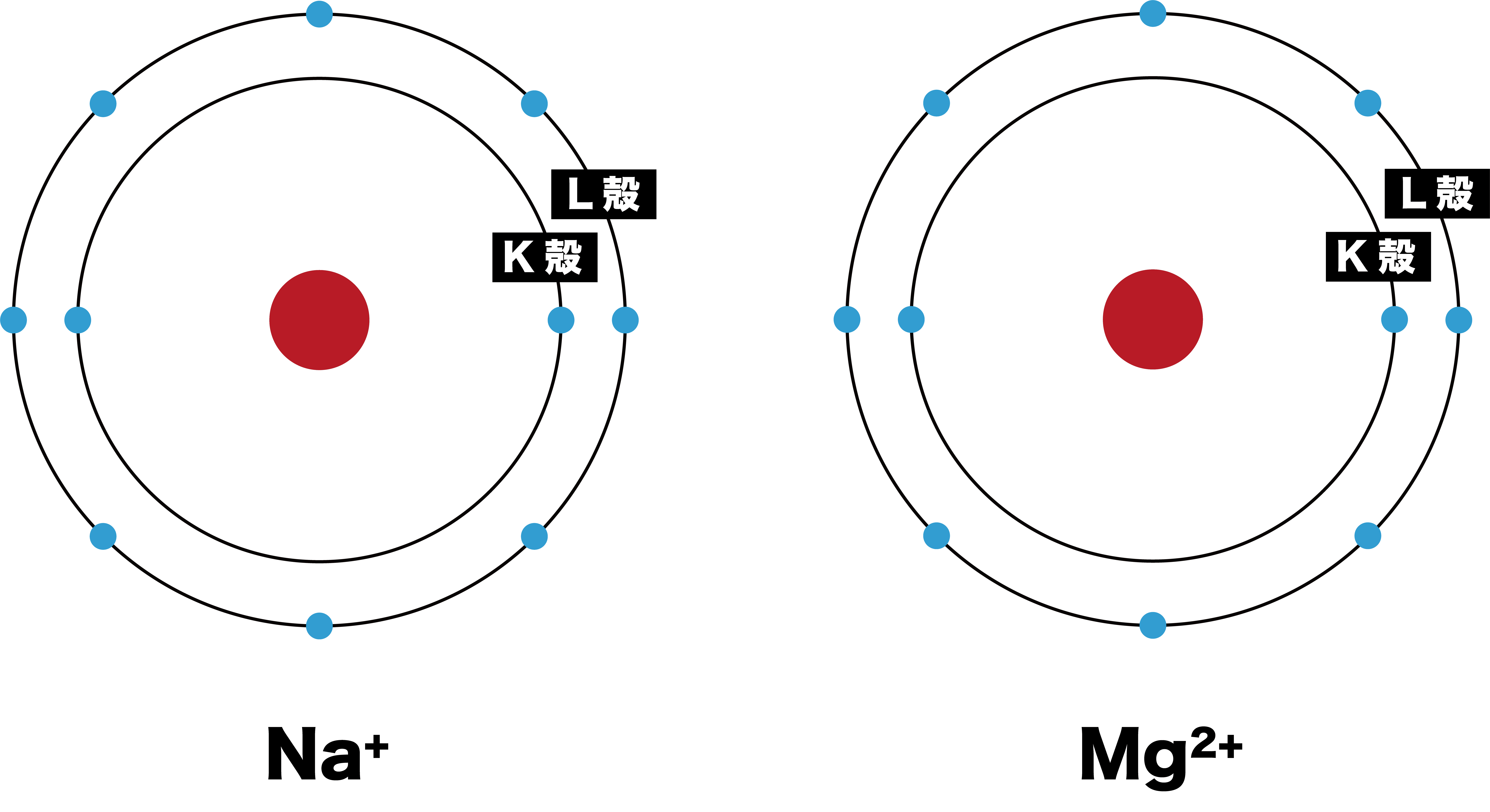 イオンの大きさ 原子の場合と異なる理由 周期表での傾向など 化学のグルメ