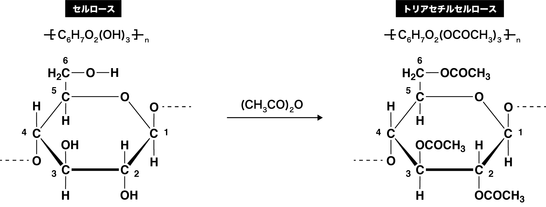 ニトロセルロースとアセチルセルロース 合成法 作り方や構造 用途など 化学のグルメ