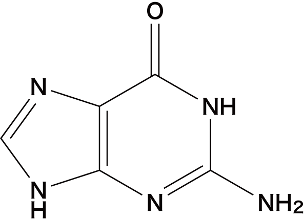核酸 デオキシリボ デオキシリボ核酸 /