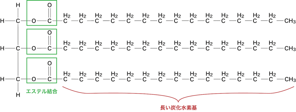 【化学】油脂とは？構造や酸化・加水分解・グリセリンや脂肪酸との関係など！ 化学のグルメ