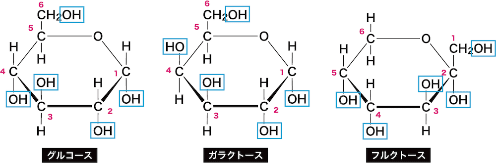 単糖類 グルコース ガラクトース フルクトースの分類や構造 性質 二糖や多糖との関係性など 化学のグルメ